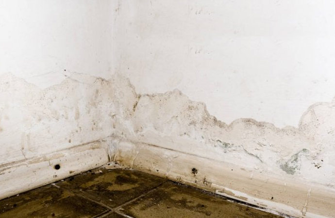 Signs Your Crawl Space Needs Moisture Control Service